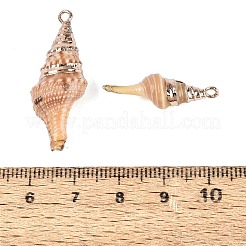 Electroplate Natural Spiral Shell Pendants&nbsp;SSHEL-Q100-38G
