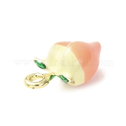 Alloy Enamel Pendants&nbsp;AL-CBA24A7-01G-10