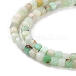 Natural Chrysoprase Beads Strands&nbsp;G-K315-A05