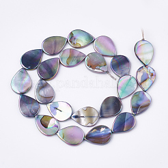 AB Color Freshwater Shell Beads Strands&nbsp;SHEL-S274-38