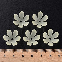 Transparent Acrylic Beads&nbsp;MACR-S373-47-D03