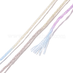 10かせ 6層ポリエステル刺繍フロス  クロスステッチの糸  セグメント染め  ライラック  0.5mm  約8.75ヤード（8m）/かせ&nbsp;OCOR-K006-A01