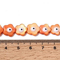 Dyed Natural Freshwater Shell Beads Strands&nbsp;SHEL-A006-03D