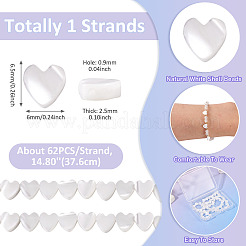 1 Strand Natural Trochid Shell/Trochus Shell Beads Strands&nbsp;BSHE-TA0001-39