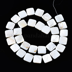 Natural Freshwater Shell Beads Strands&nbsp;SHEL-Q024-014