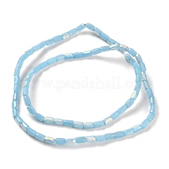 つや消し模造ヒスイガラスビーズ連売り  ABカラーメッキ  多面カット  コラム  空色  6.5x4mm  穴：1mm  約80個/連  20.39''（51.8センチメートル）&nbsp;GLAA-P058-07A-06