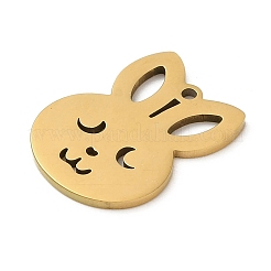 5Pcs 201 Stainless Steel Pendants&nbsp;STAS-B064-02G