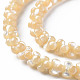 Natural Trochid Shell/Trochus Shell Bead Strands&nbsp;SSHEL-N034-104-A01-3