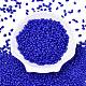 Baking Paint Glass Seed Beads&nbsp;SEED-T006-03-01-1