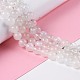 Natural Rainbow Moonstone Beads Strands&nbsp;G-I249-B04-06-1