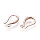 Brass Earring Hooks&nbsp;KK-L177-34RG-1