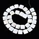 Natural Freshwater Shell Beads Strands&nbsp;SHEL-Q024-014-2
