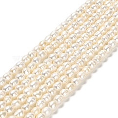 天然養殖淡水パールビーズ連売り  ライス  グレード2a++  ホワイト  5~6x4~4.5mm  穴：0.5mm  約62個/連  14.25''（36.2センチメートル）