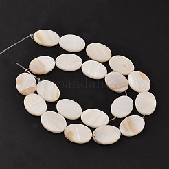 天然な混合形状の海のシェルビーズ連売り  8~20x8~15x3mm  穴：1mm  約15インチ〜15.7インチ&nbsp;BSHE-E004-01