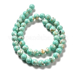 Synthetic Turquoise and Sea Shell Assembled Beads Strands&nbsp;G-D482-01B-08