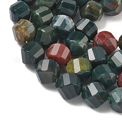 Natural Bloodstone/Heliotrope Stone Beads Strands&nbsp;G-C267-B03