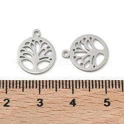 304 Stainless Steel Charms&nbsp;STAS-P433-05P
