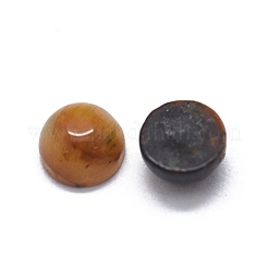 天然石タイガーアイカボション  半円/ドーム  4x1.5~2.5mm&nbsp;G-O175-23-25