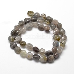 Natural Labradorite Nuggets Beads Strands&nbsp;G-J336-08