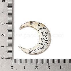 チベット風合金チャーム  カドミウムフリー＆鉛フリー  ムーン  アンティークシルバー  28.5x26.5x2mm  穴：1.8mm&nbsp;FIND-A038-23AS