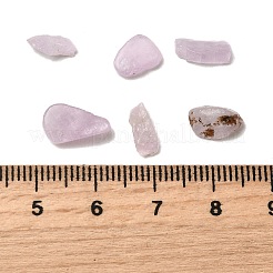 Natural Kunzite Beads&nbsp;G-Z099-A01