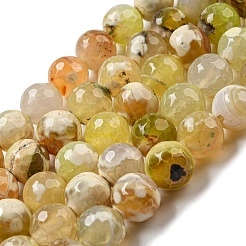 Faceted Natural Fire Crackle Agate Beads Strands&nbsp;X-G-F447-12mm-H01