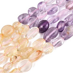Natural Rose Quartz & Amethyst & Citrine(Heated) & Prehnite Beads Strands&nbsp;G-N371-01A-01