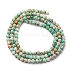 Natural Peruvian Turquoise(Jasper) Beads Strands&nbsp;G-A276-C13-3mm