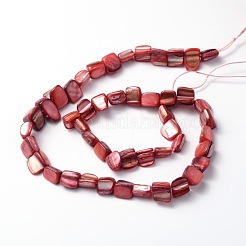 Natural Sea Shell Beads&nbsp;S00C5072