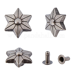 30Pcs Zinc Alloy Decorative Rivets&nbsp;FIND-GF0009-18