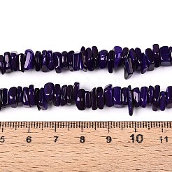 Natural Freshwater Shell Beads Strands&nbsp;SHEL-T020-40B