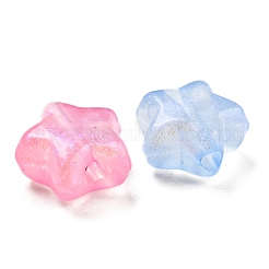 蓄光アクリルビーズ  キラキラビーズ  暗闇で光る  スター  ミックスカラー  10x10.5x6mm  穴：2mm&nbsp;X-MACR-D024-24