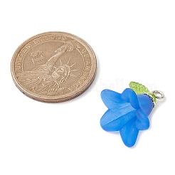Frosted Acrylic Pendants Kit&nbsp;PALLOY-JF02421