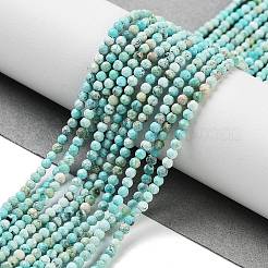 Natural HuBei Turquoise Beads Strands&nbsp;G-G792-38-01