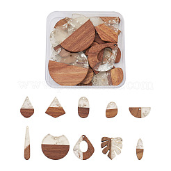 20Pcs 10 Style Resin & Walnut Wood Pendants&nbsp;RESI-KS0001-05