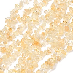 Natural Citrine Beads Strands&nbsp;X-G-P332-51