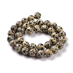 Natural Dalmatian Jasper Beads Strands&nbsp;G-Q462-10mm-30
