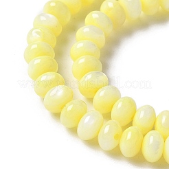Natural Freshwater Shell Beads Strands&nbsp;SSHEL-C013-07C