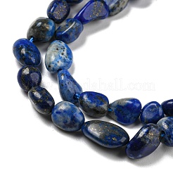 Natural Lapis Lazuli Beads Strands&nbsp;G-P497-01A-14