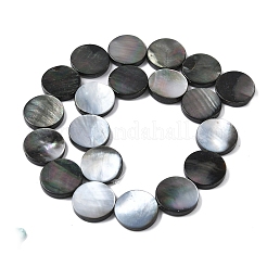 天然ブラックリップシェルビーズ連売り  フラットラウンド  20x4mm  穴：1.2mm  約20個/連  15.67''（39.8センチメートル）&nbsp;BSHE-D300-05-20mm