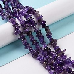Natural Amethyst Chip Bead Strands&nbsp;G-M205-58