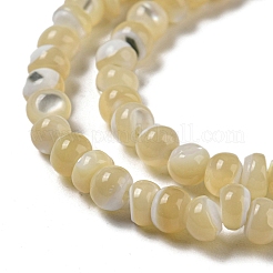 Natural Trochus Shell Beads Strands&nbsp;SSHEL-H072-13A
