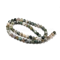 Natural Tree Agate Round Gemstone Beads Strands&nbsp;X-G-R255-6mm