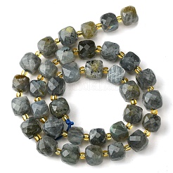 Natural Labradorite Beads Strands&nbsp;G-Q010-A25-01