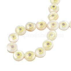 Natural Freshwater Shell Enamel Beads&nbsp;SHEL-N026-192