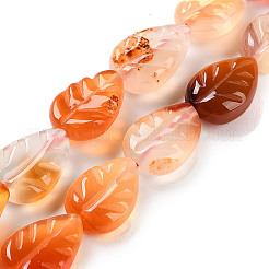 Natural Agate Carved Beads Strands&nbsp;G-H024-B01-01