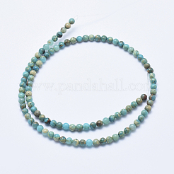 Natural Aqua Terra Jasper Beads Strands&nbsp;G-E444-14A-4mm