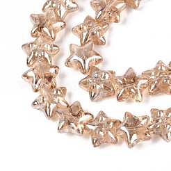 Electroplate Glass Beads Strands&nbsp;EGLA-N020-01F