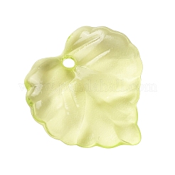 Transparent Acrylic Pendants&nbsp;X1-DBLA410-9