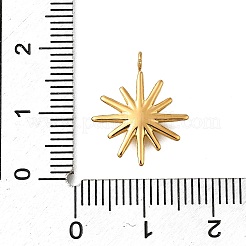 304 Stainless Steel Pendants&nbsp;STAS-R159-01G